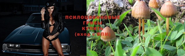 мдпв Абаза