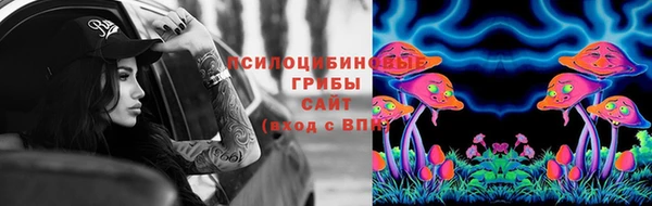 стаф Алексеевка