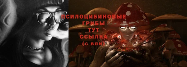 соль ск Абдулино