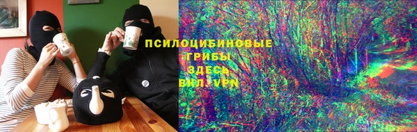 мдпв Абаза