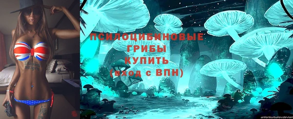 ГАЛЛЮЦИНОГЕННЫЕ ГРИБЫ Абинск