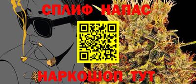 ECSTASY Нальчик