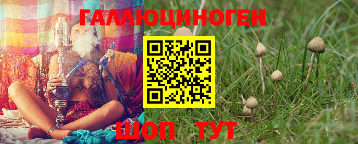 Псилоцибиновые грибы Cubensis  Вход с VPN  Псилоцибиновые грибы мухоморы  Чапаевск 